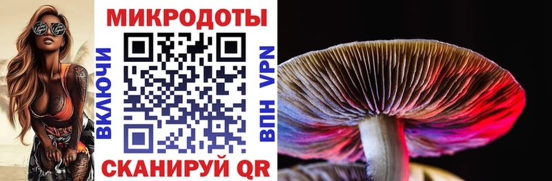 Псилоцибиновые грибы Psilocybe  Удачный 
